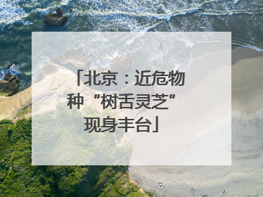 北京：近危物种“树舌灵芝”现身丰台